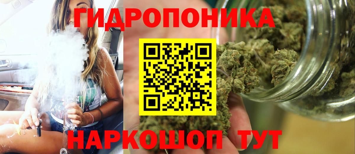 Бошки марихуана семена  Бошки Шишки LSD WEED  Вход с VPN  Лениногорск  Бошки марихуана семена 